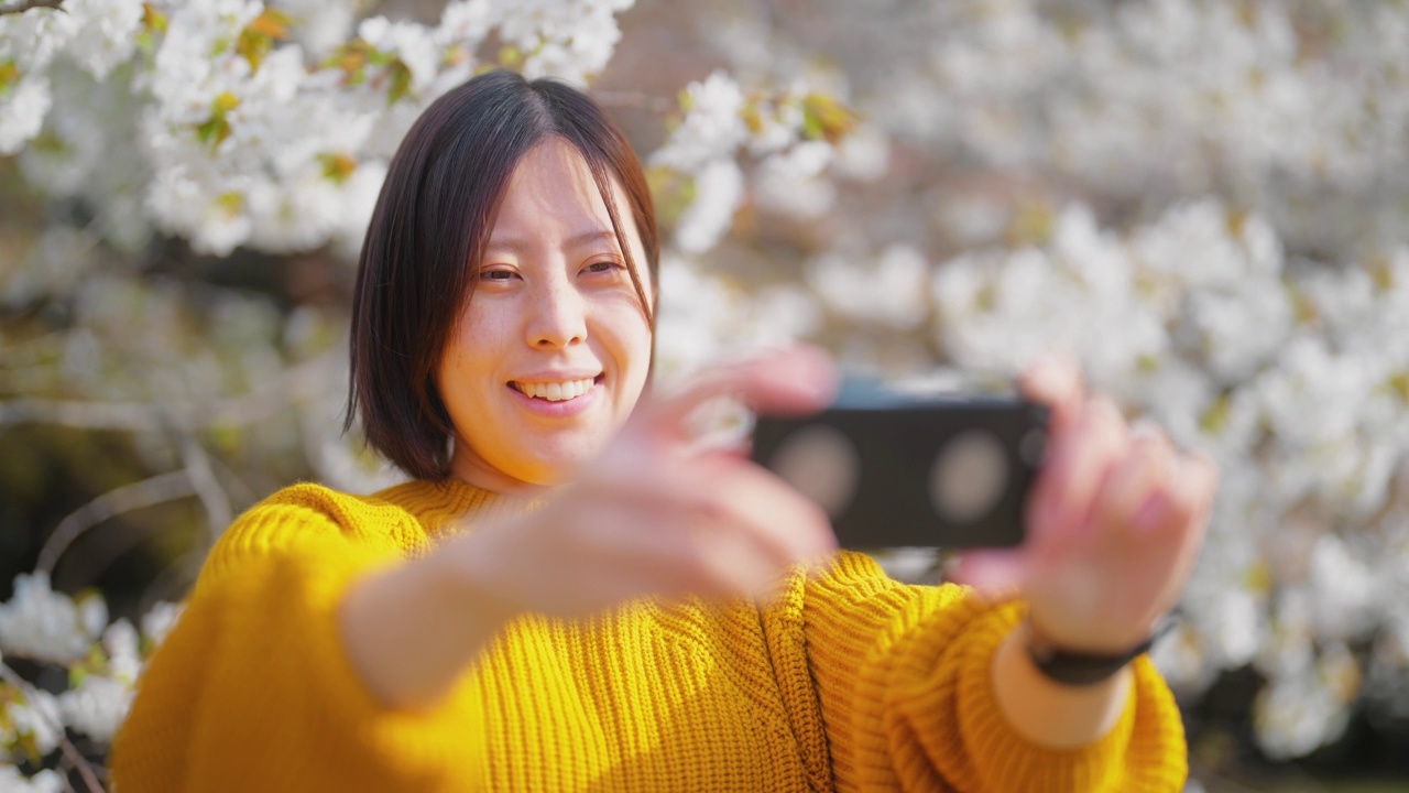 一名年轻女子用她的智能手机与大自然中的樱花自拍视频下载
