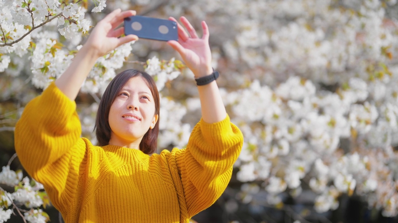 一名年轻女子用智能手机在大自然中拍摄樱花视频下载