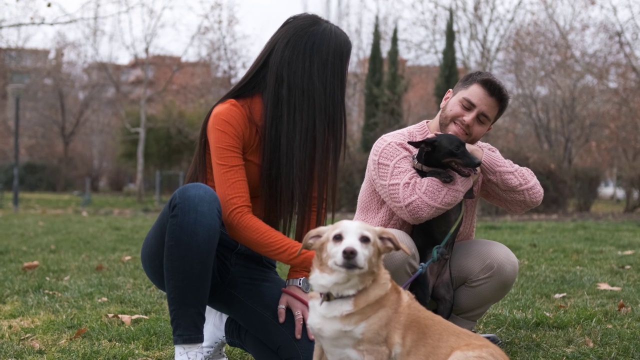 夫妇抚摸着他们的狗，一起在公园里享受着户外的一天。视频下载