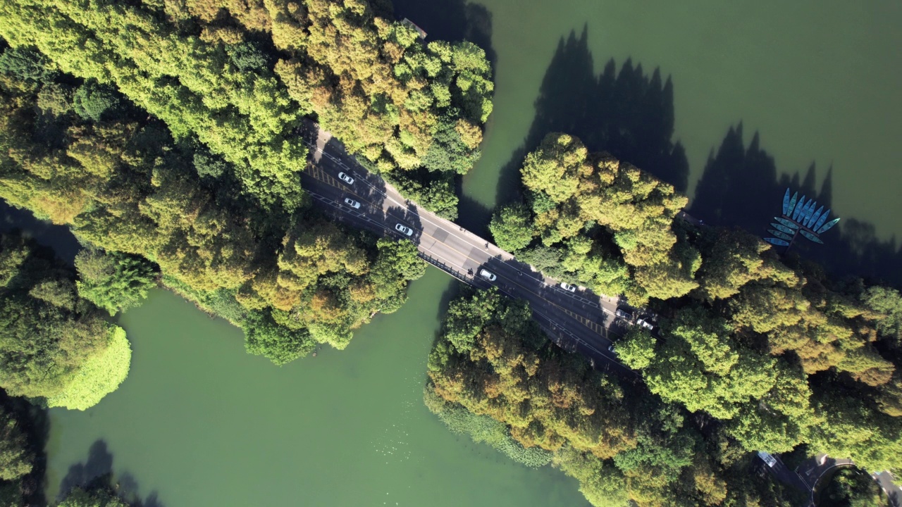 航拍的道路通过湖泊和树木地区视频素材