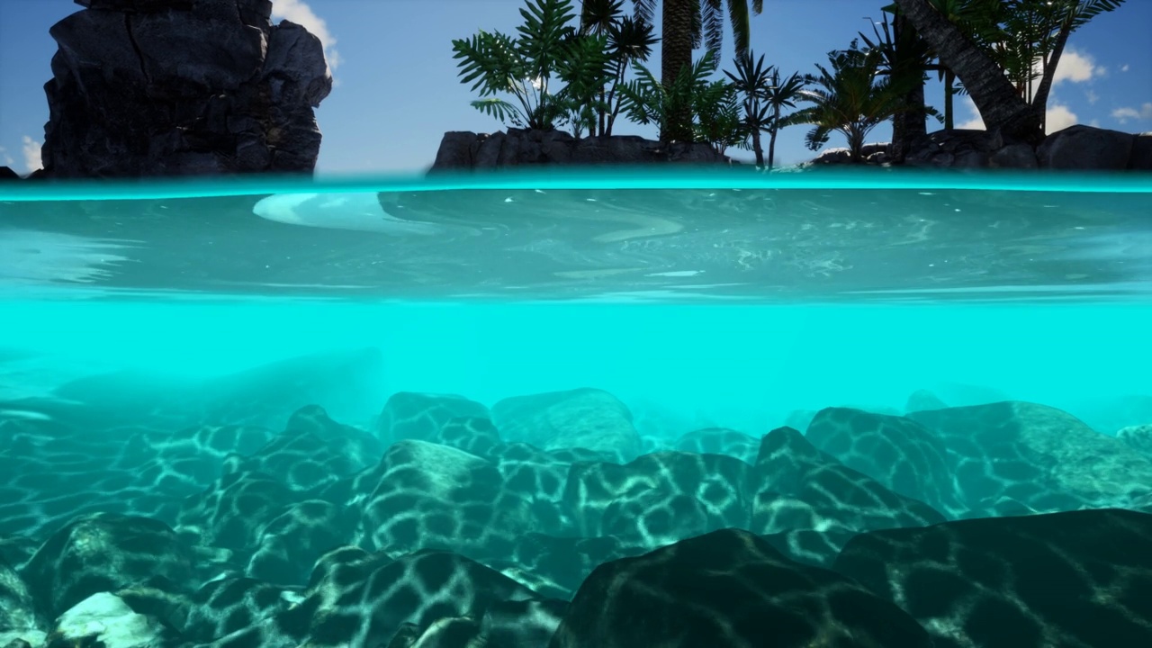 岛屿上的海水和棕榈树的剖面图视频下载