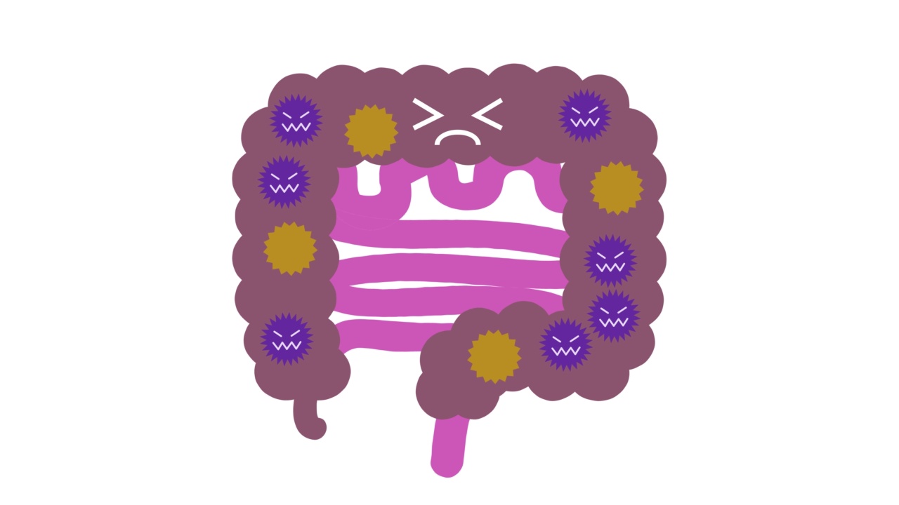 这是一个关于肠道菌群失调的动画视频。Loopable视频下载