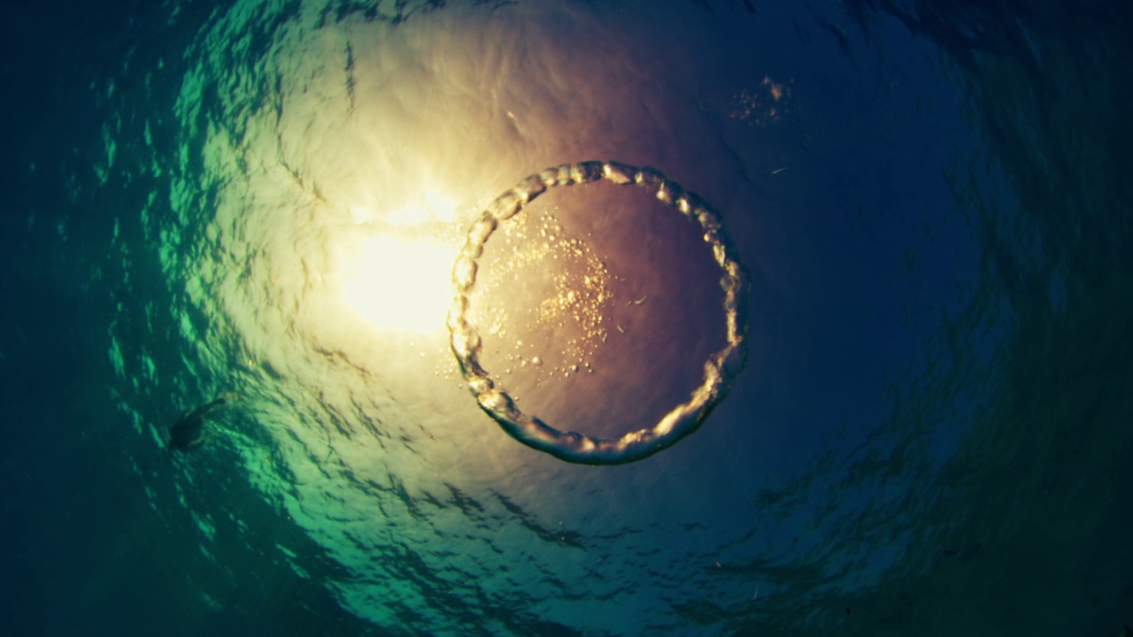 环状气泡在海上向上移动。气泡向水面上升视频下载