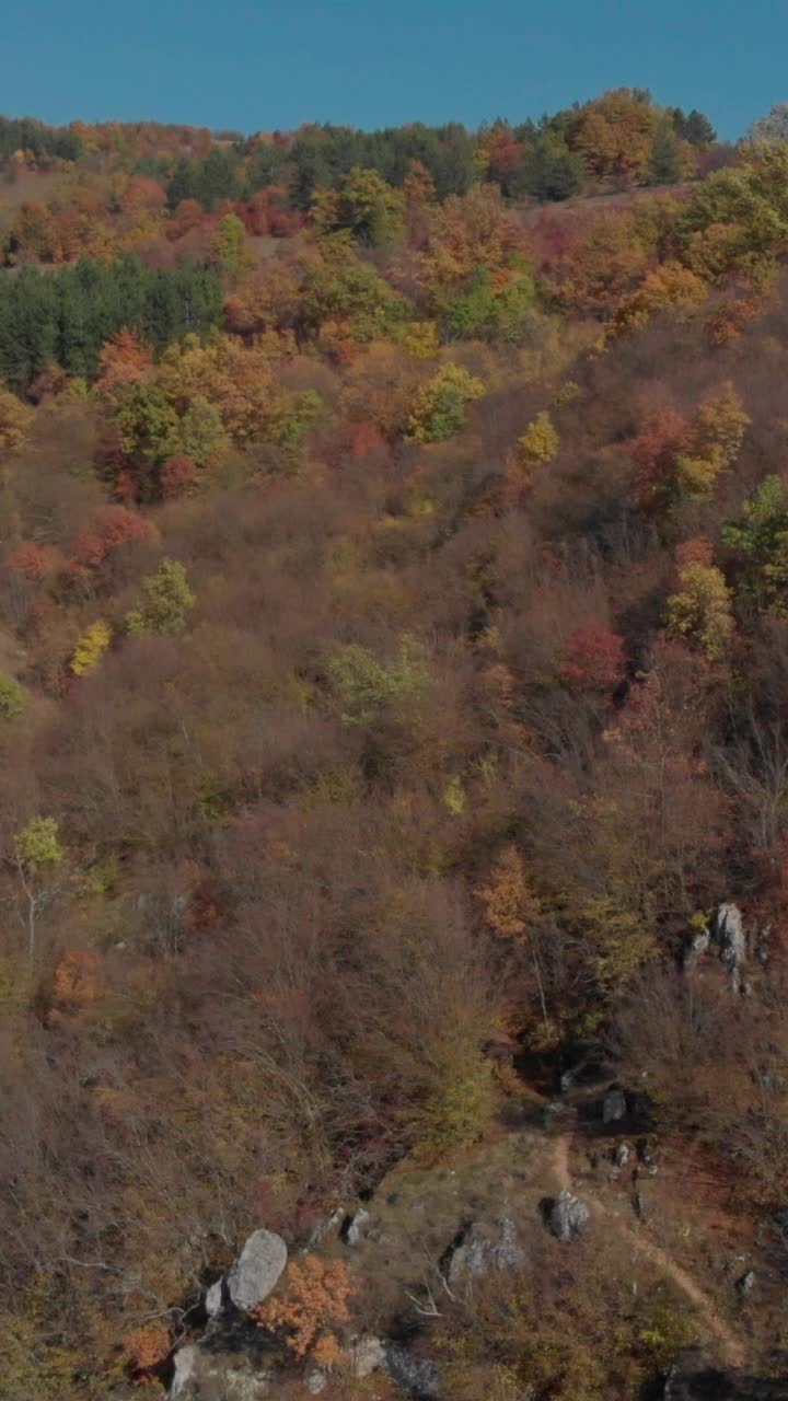 秋天的无人机拍摄美丽的自然风光视频下载
