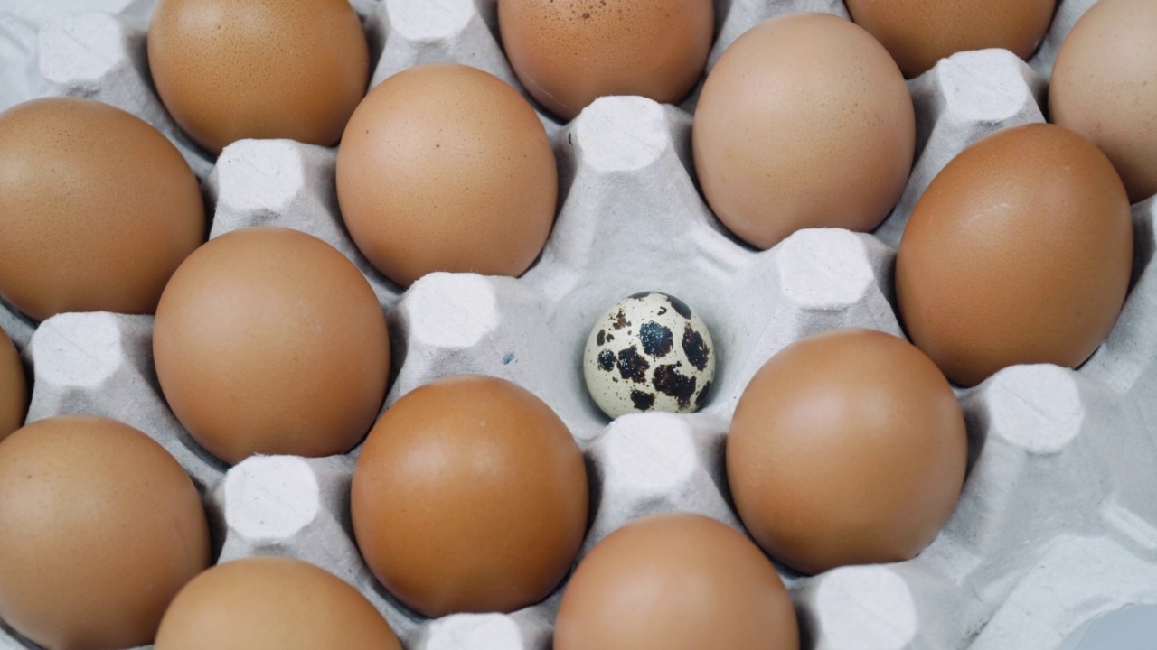 鸡褐鲜生蛋和单鹌鹑蛋。一大盘鸡蛋在旋转视频下载