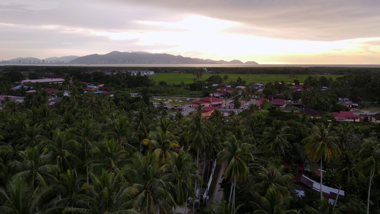 鸟瞰图移动到马来西亚村庄附近的椰子树上视频素材