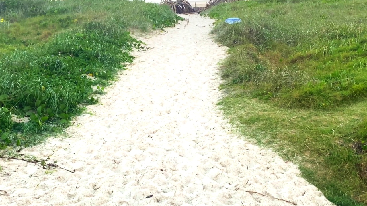 通往海浪的沙丘之路视频素材