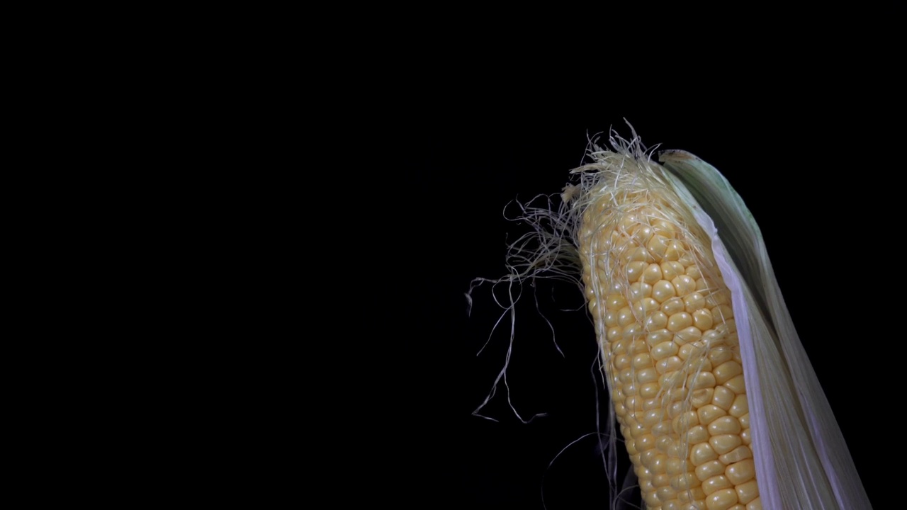 手剥玉米芯的4K视图视频下载