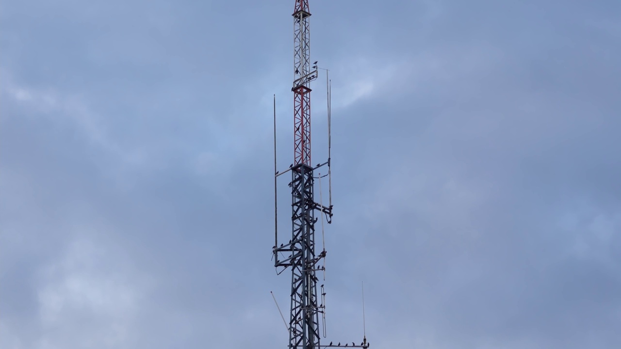 5G无线电塔上的鸟类视频素材