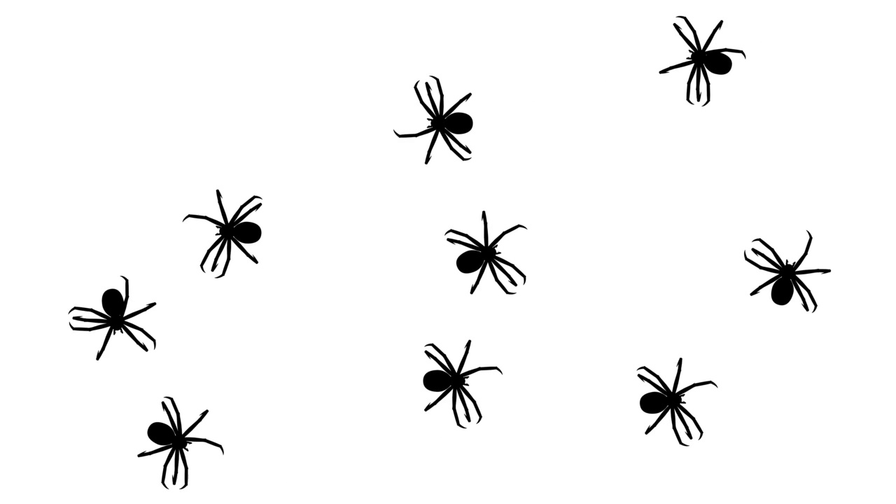 蜘蛛群，CG动画轮廓白色，无缝循环视频素材