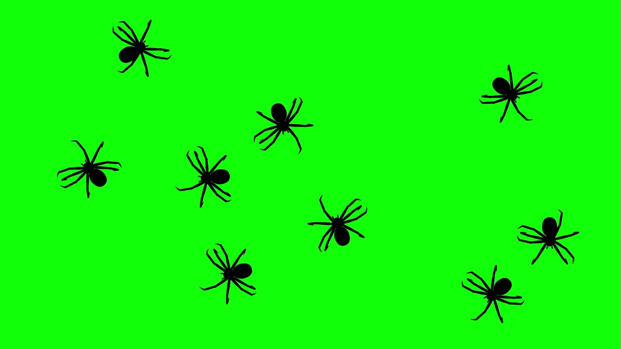 成群的蜘蛛，绿色屏幕上的CG动画剪影，无缝循环视频素材