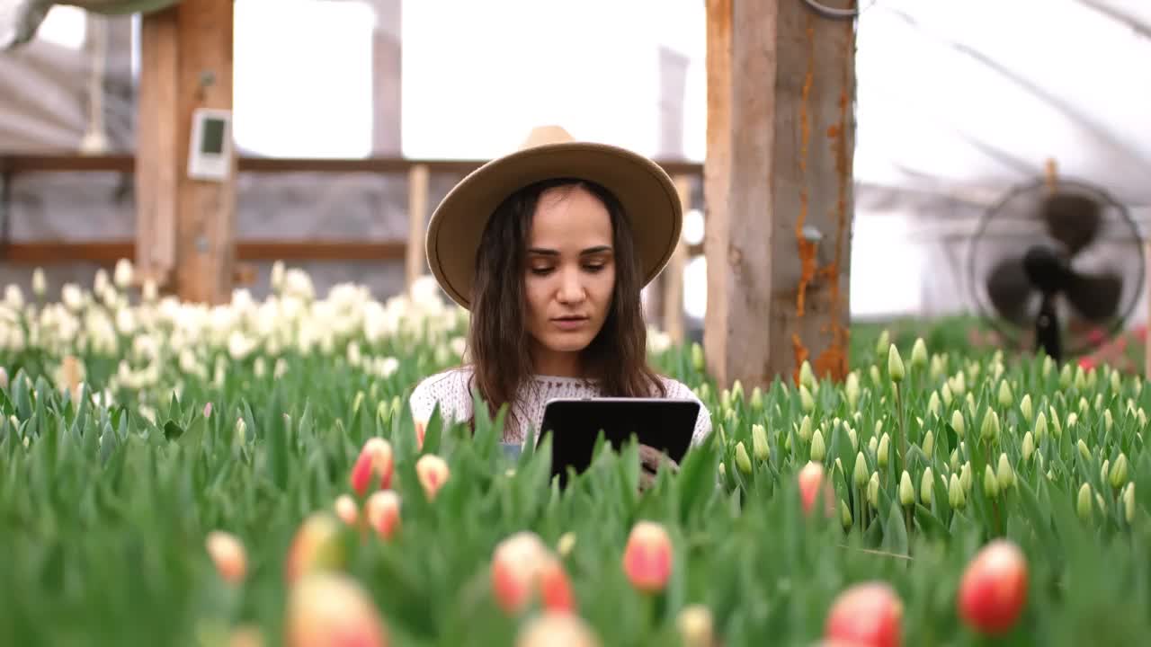 一位戴着帽子的女花商用平板电脑清点鲜花。漂亮女人在花房工作，在网上卖植物视频素材