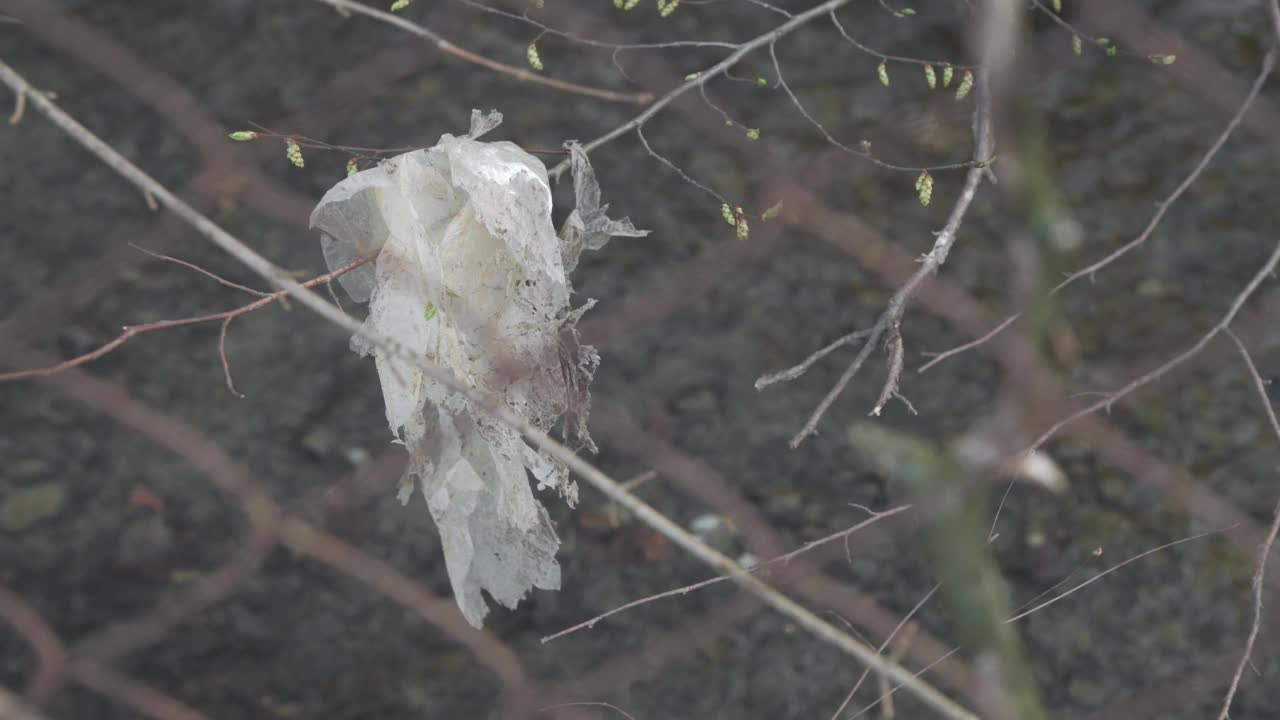 一个旧塑料袋挂在树枝上，背景是河流。前方是一个几乎看不见的金属网。视频下载