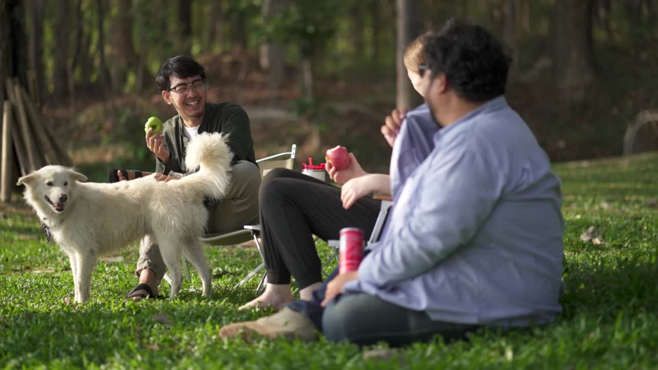一群朋友在公园野餐，和他们的狗在一起。视频素材