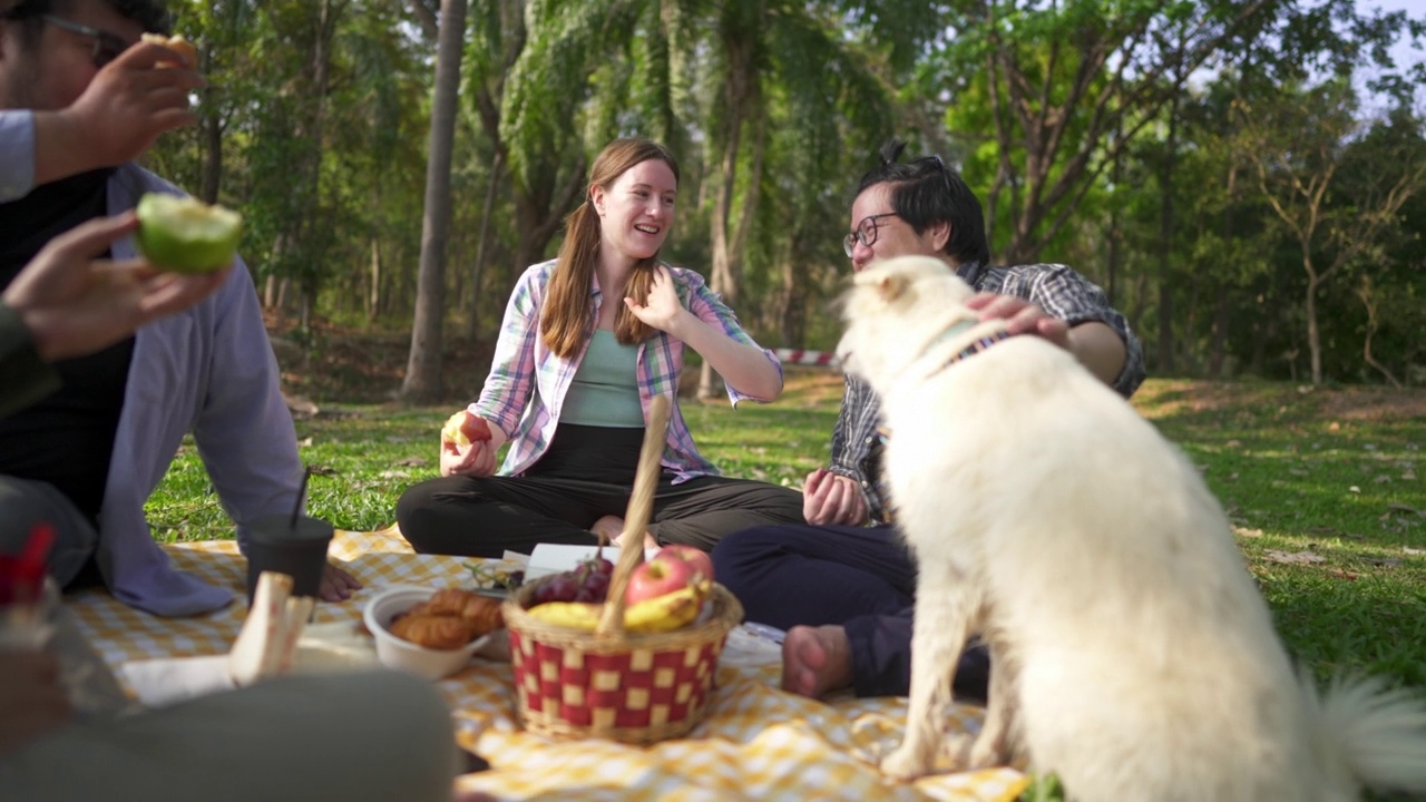 家人和朋友喜欢在野餐日吃食物和饮料。视频素材