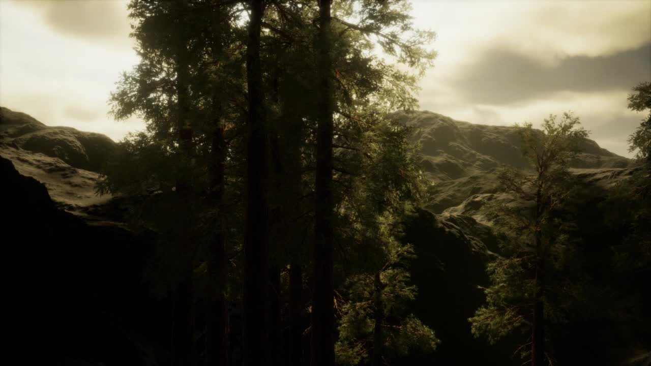 雾和松树在崎岖的山腰和即将到来的风暴视频素材