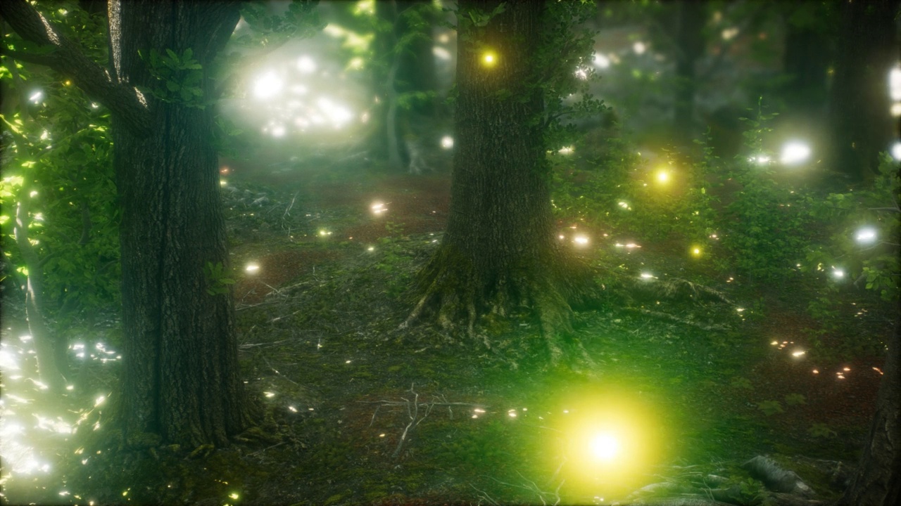 萤火虫在森林里飞翔视频素材