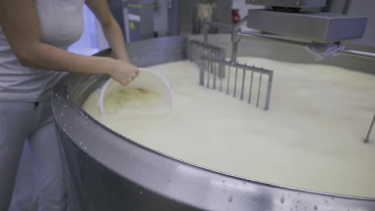 工人用塑料桶将牛奶从工业锅中取出视频下载