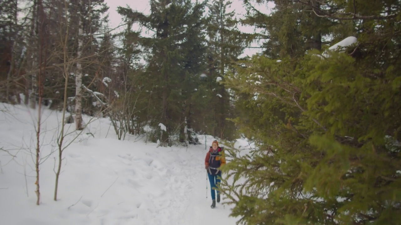 冬季徒步旅行的女性游客视频下载