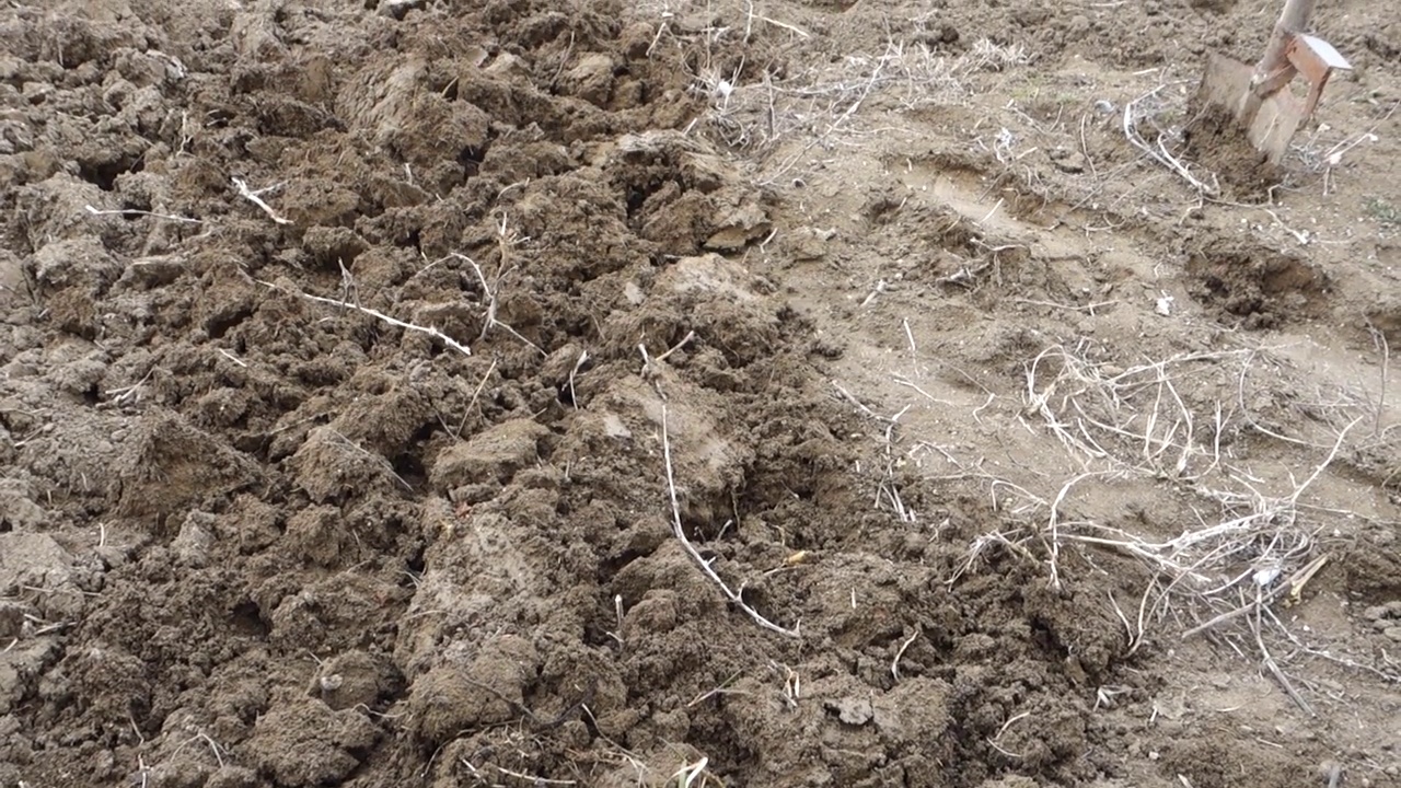 准备春季种植的土壤，用挖土机锄地，视频素材