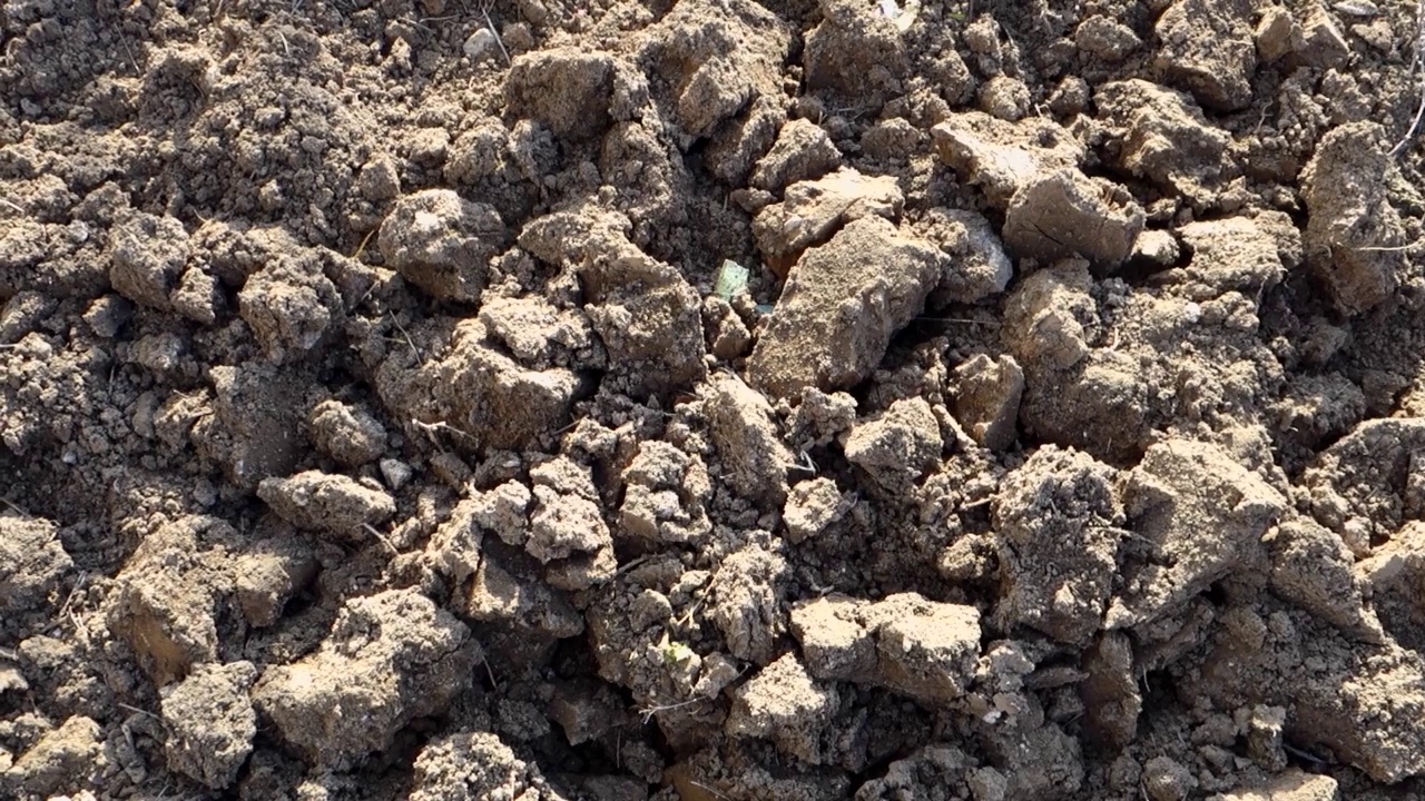 用挖土机对土壤进行通气挖土以种植花园区域，视频素材