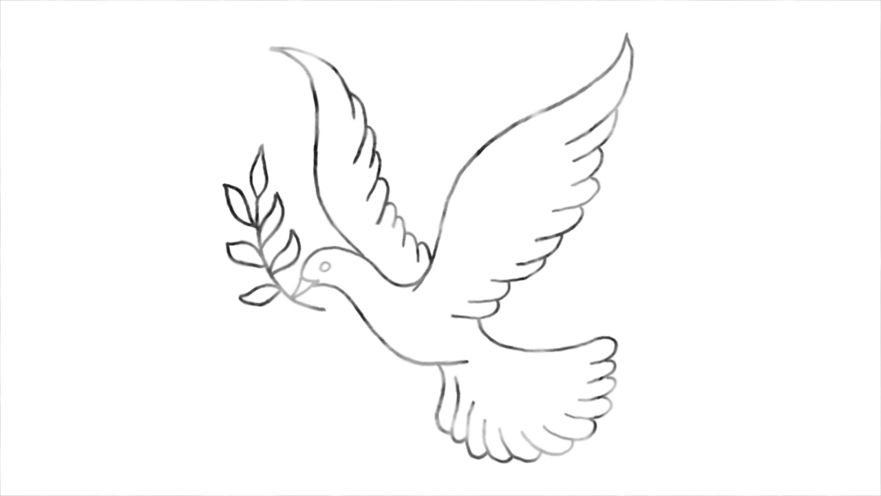 画有橄榄叶的鸽子，象征和平。视频下载