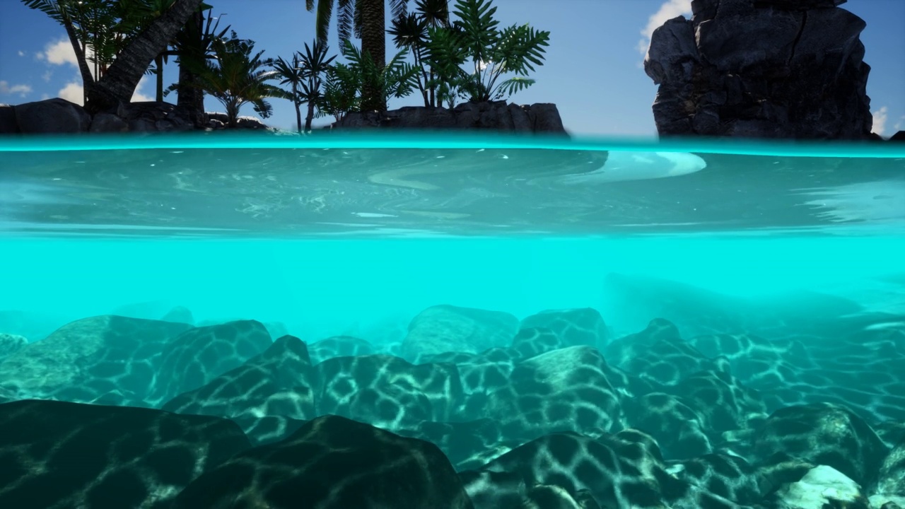 岛屿上的海水和棕榈树的剖面图视频下载
