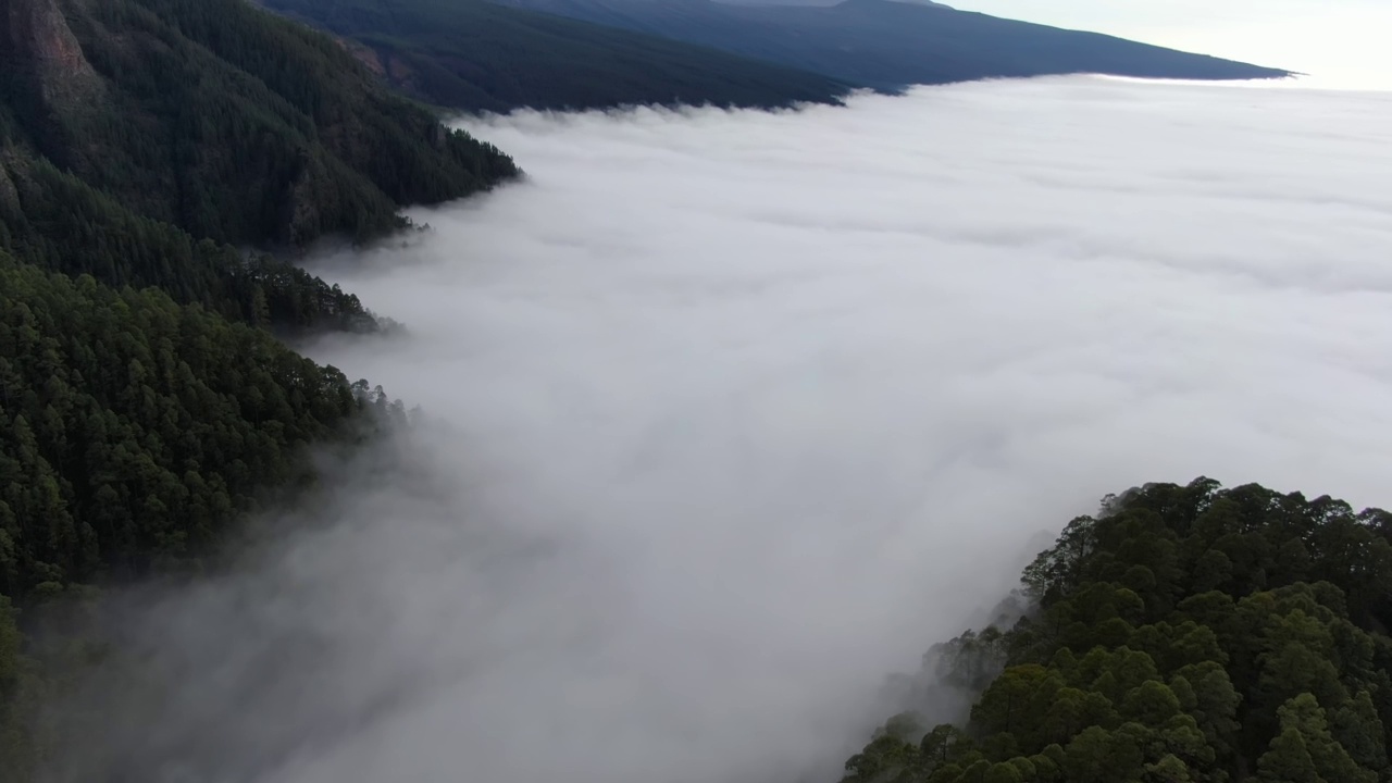 云中森林和泰德火山的鸟瞰图，特内里费岛，加那利群岛视频素材