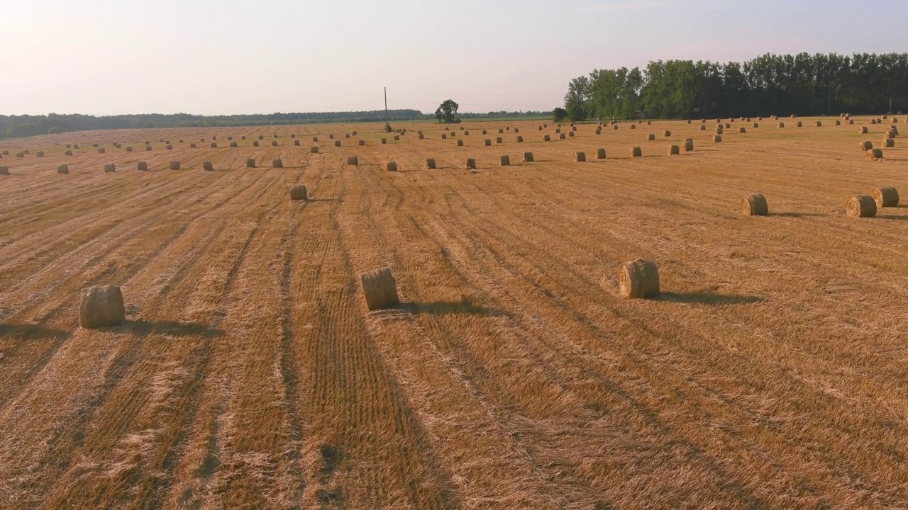 景观稻草捆对夕阳的背景。农村自然。小麦收获干草捆视频素材