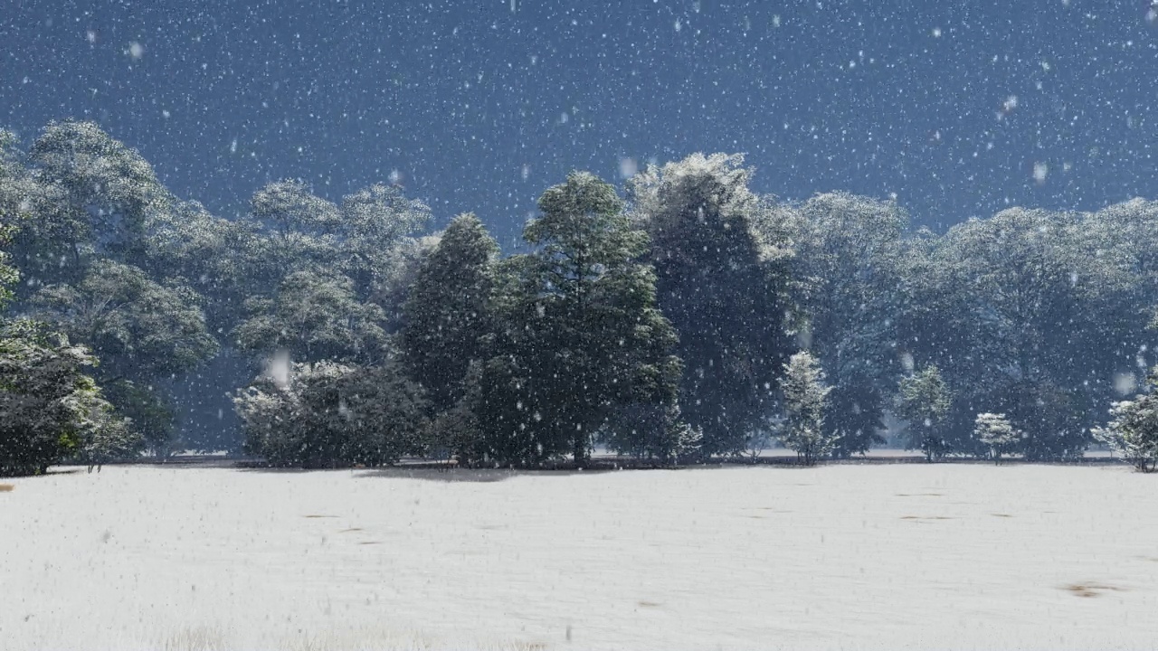 冬季，雪景视频素材
