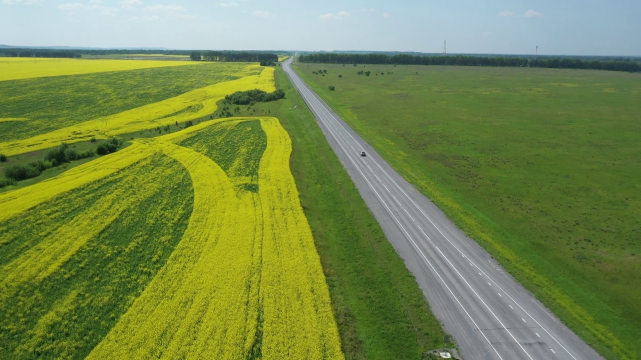 空中拍摄的一辆卡车在夏天美丽的乡村道路上。无人机飞过黄色的油菜籽田。晴天，卡车沿着田野行驶。卡车行驶在美丽的道路上视频素材