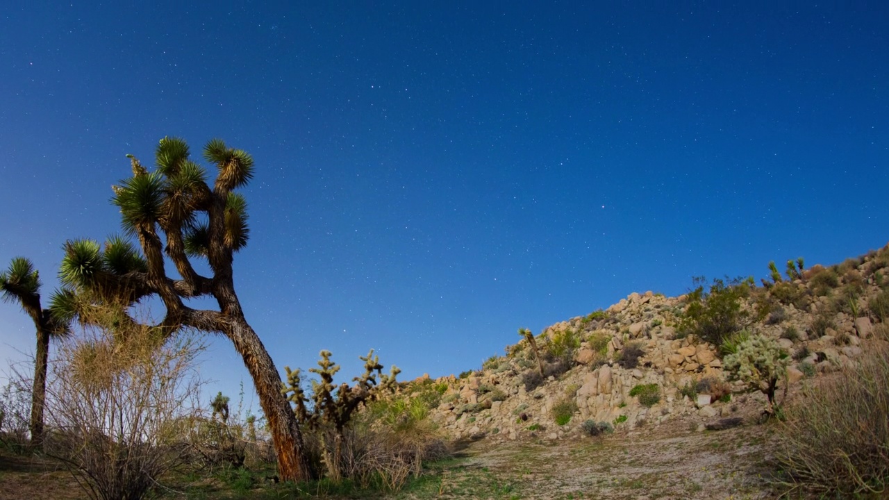 约书亚树夜空日出月亮升起延时4K沙漠视频素材