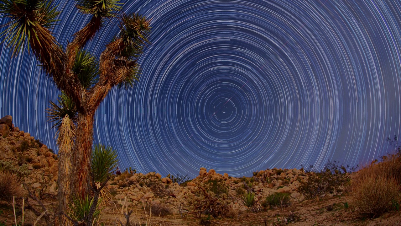 沙漠之星路径约书亚树月光莫哈韦4K全景视频素材