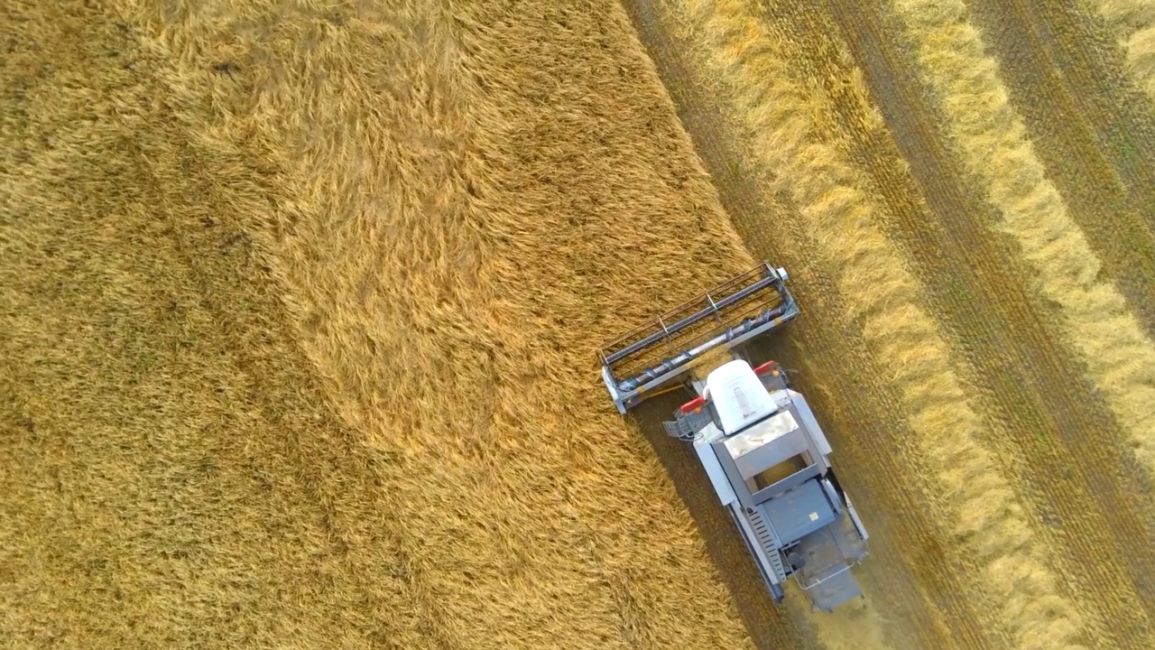 农民在农田里用机器干活。收割地里的季节性工作。视频素材