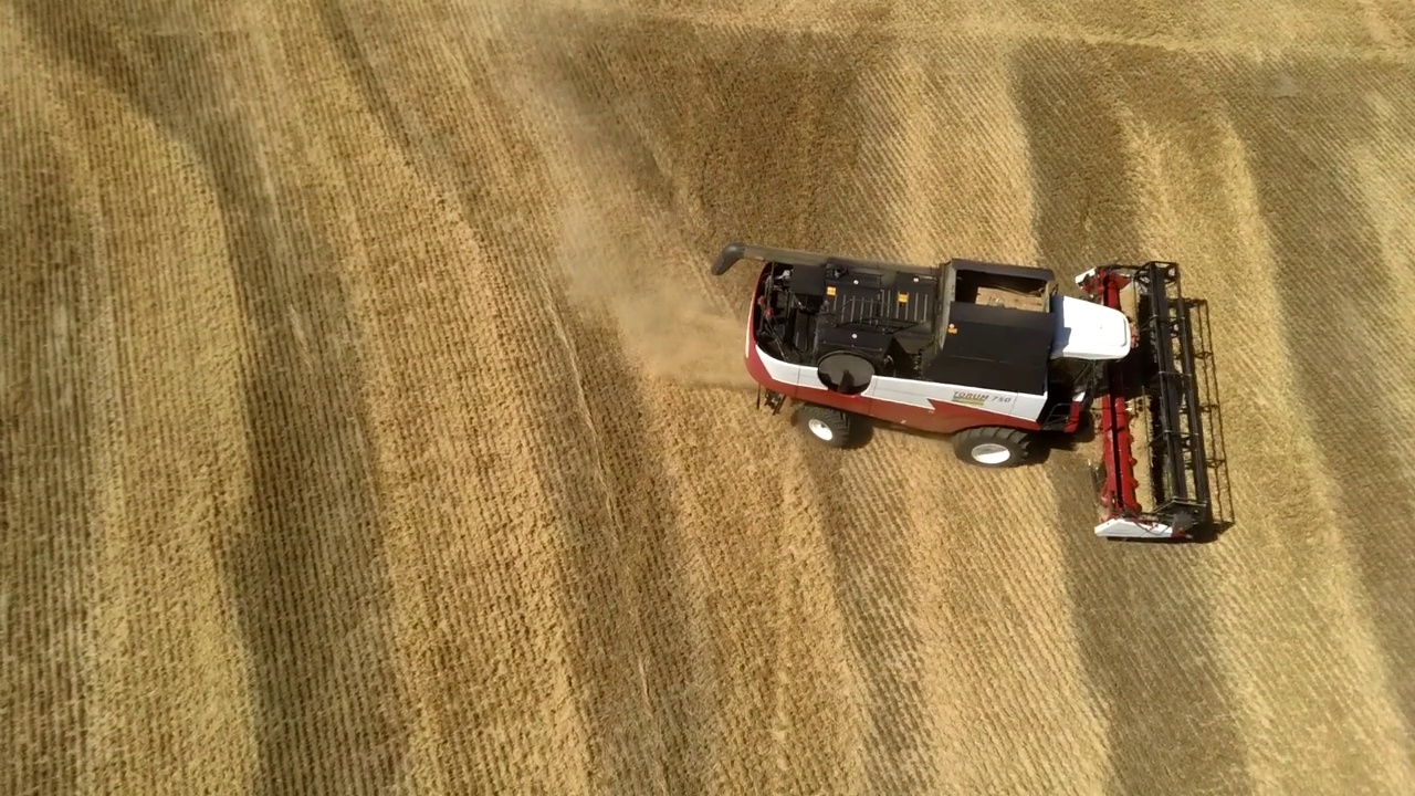 无人机拍摄飞行在麦田里工作的联合收割机视频素材