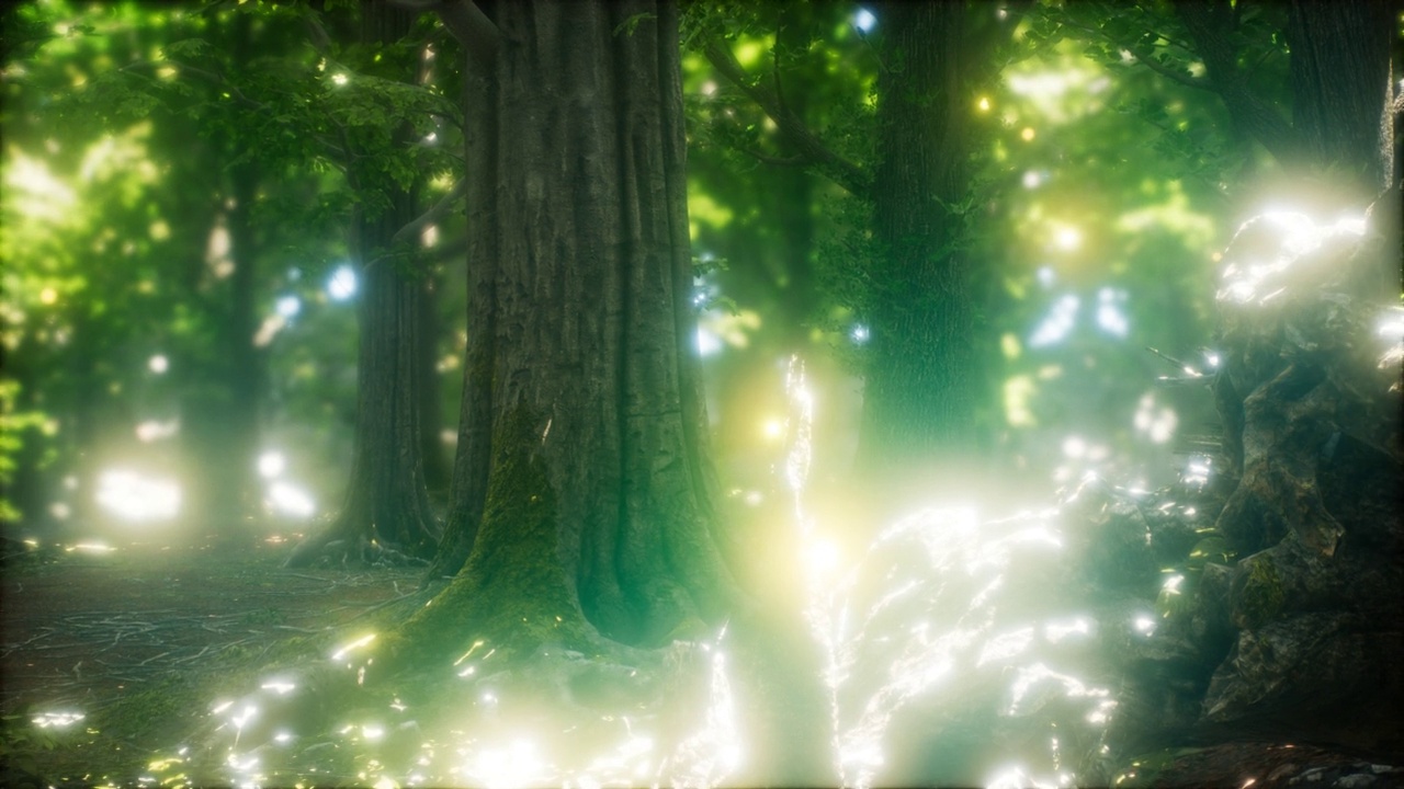 萤火虫在森林里飞视频素材