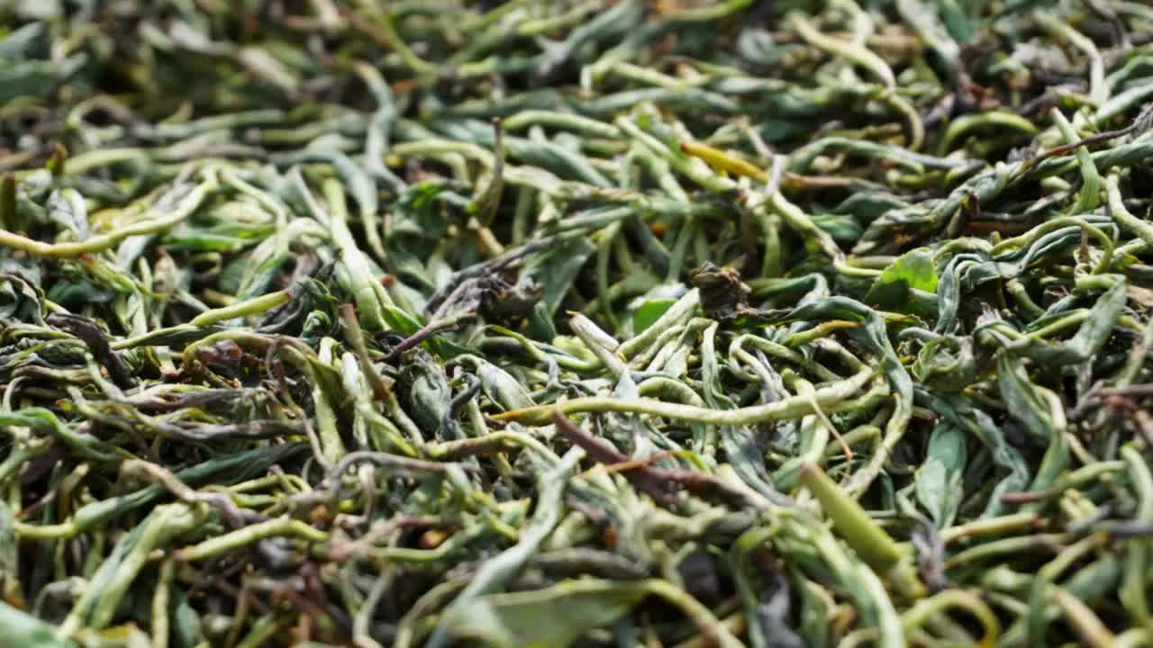茶叶发酵过程/韩国庆尚南道河东郡视频下载