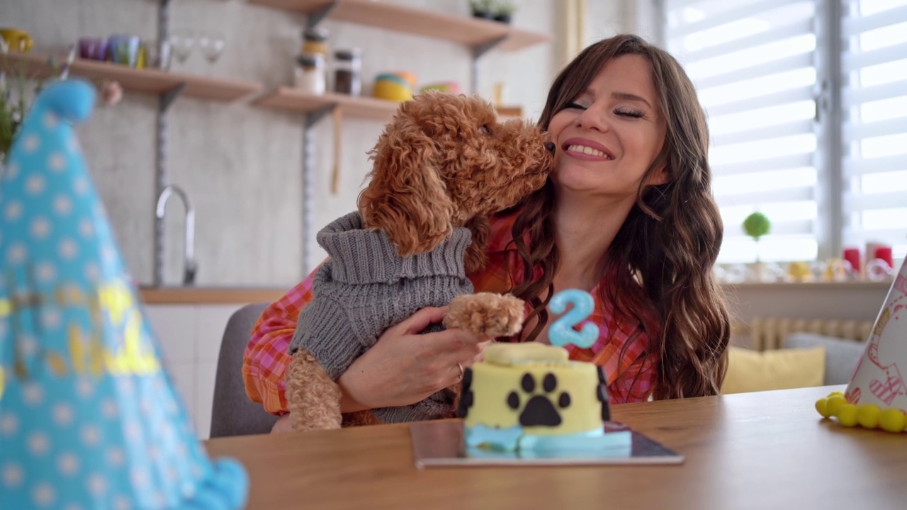 年轻的女人和她的狗庆祝宠物的生日视频素材