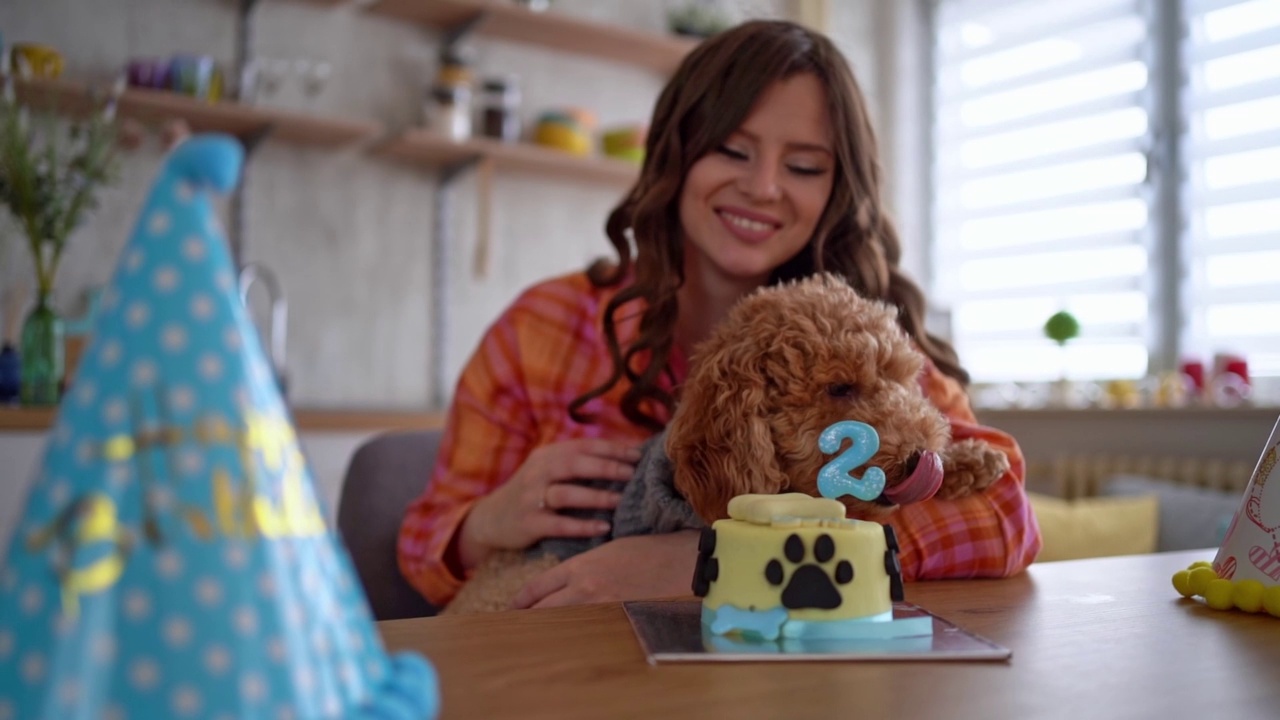 年轻的女人和她的狗庆祝宠物的生日视频素材