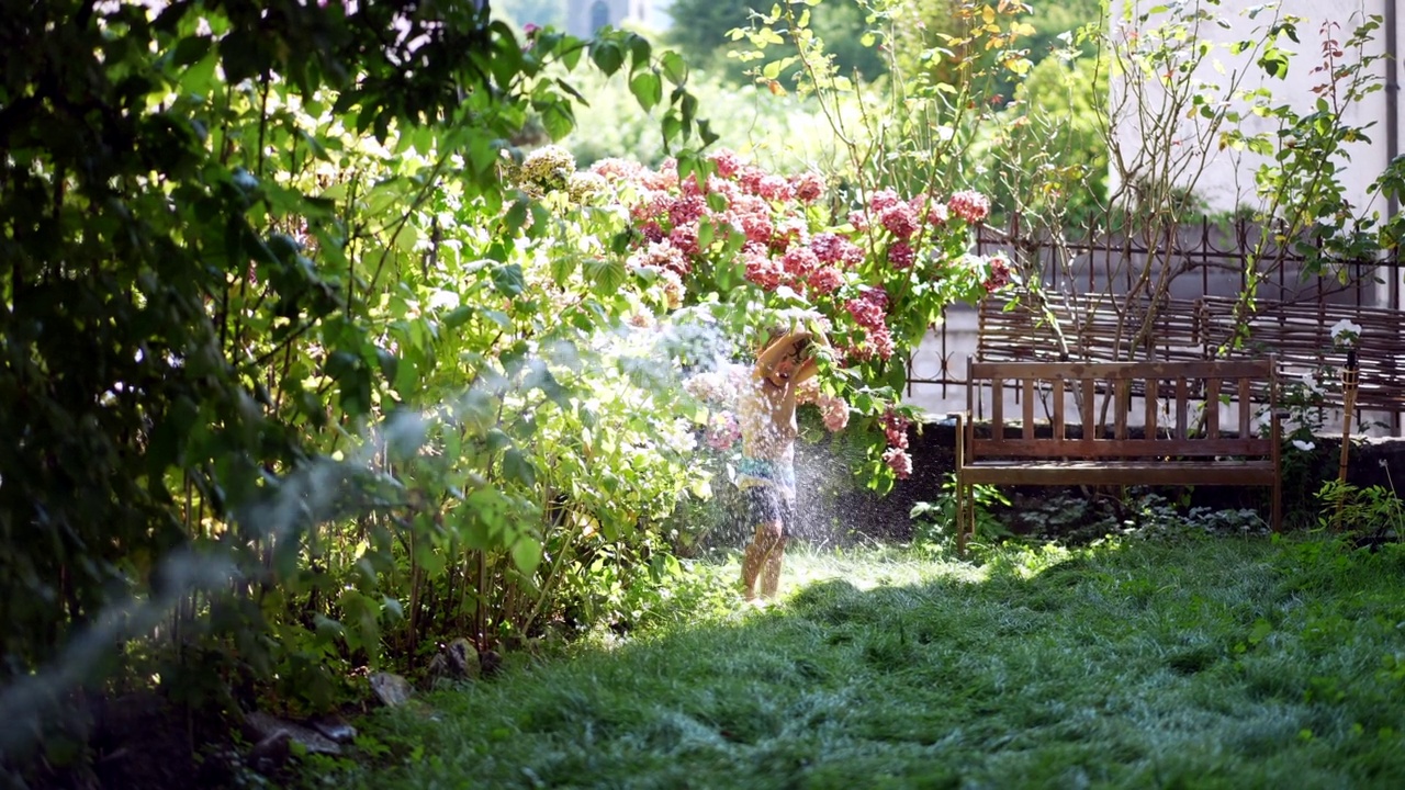 在炎热的夏天，在自家花园里向小男孩泼水视频下载