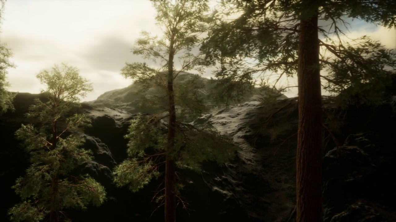 雾和松树在崎岖的山腰和即将到来的风暴视频素材