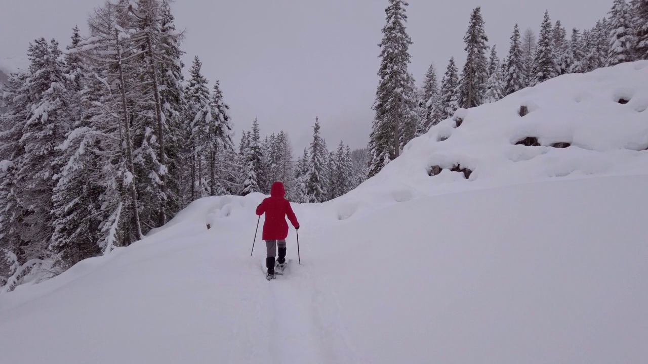 单身女人雪鞋在阿尔卑斯山冬季森林视频素材