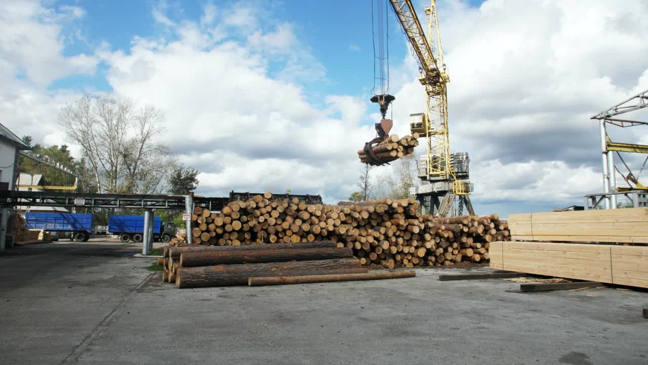 在森林里用现代收割机工作的伐木工人。木材作为一种可再生能源视频素材