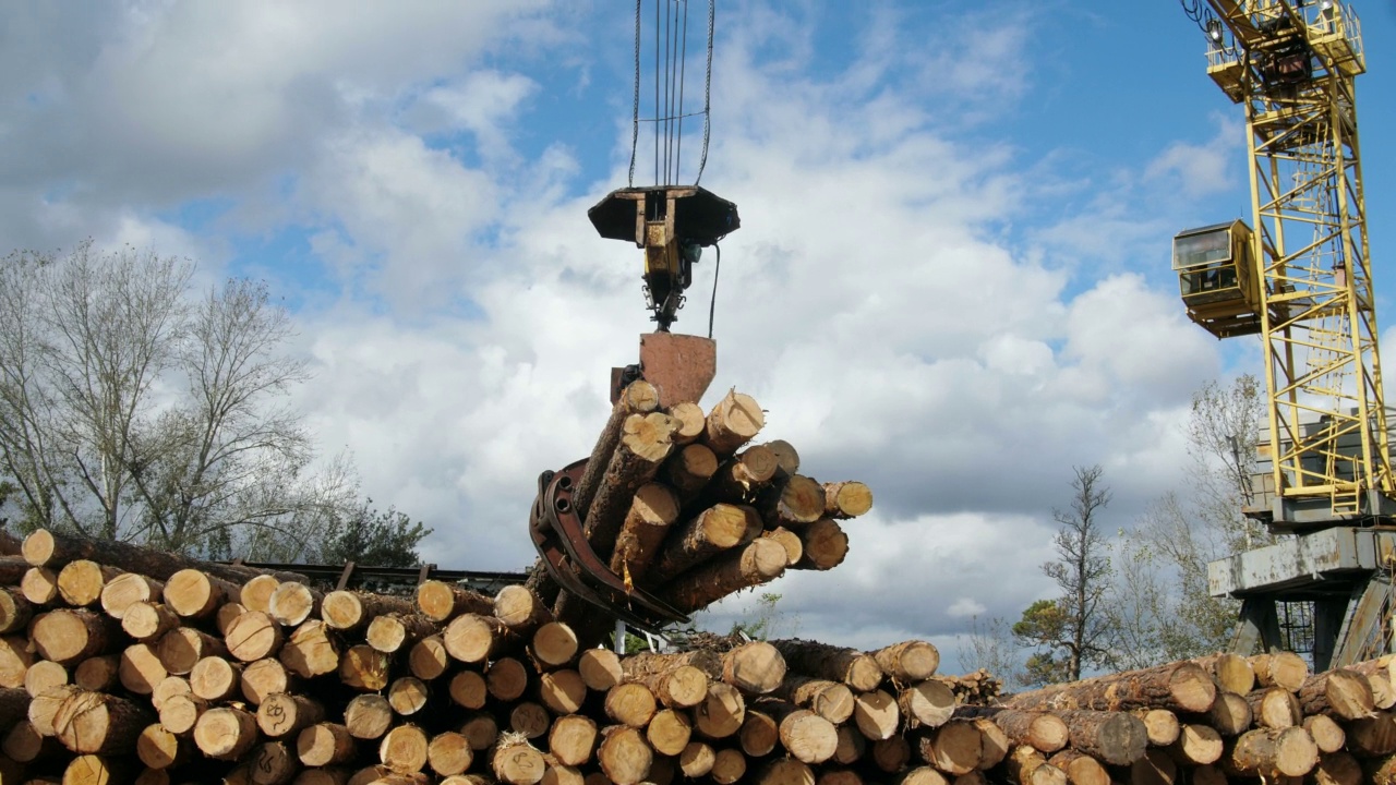 在森林里用现代收割机工作的伐木工人。木材作为一种可再生能源视频素材