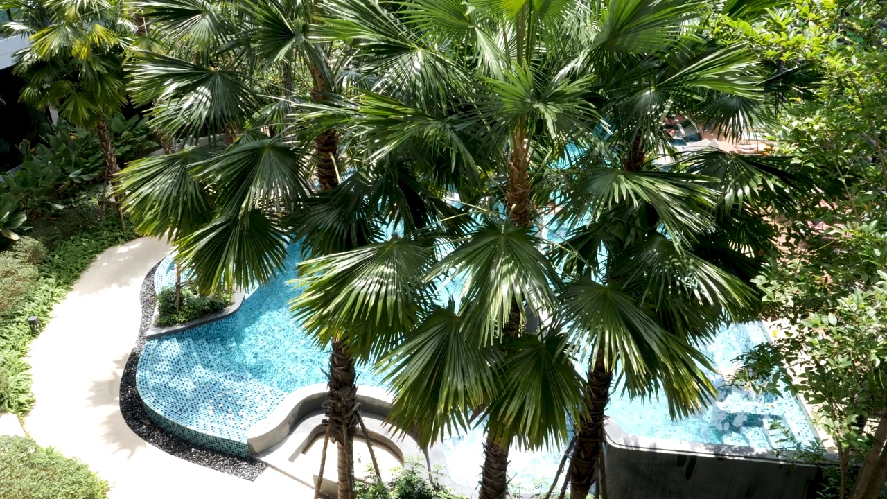 4K美丽清澈的蓝色水晶游泳池周围的天然棕榈树花园在明亮和阳光明媚的一天。高端豪华度假风格的设置，没有人。完美的概念剪辑假期，假期和异国旅游旅行。视频素材