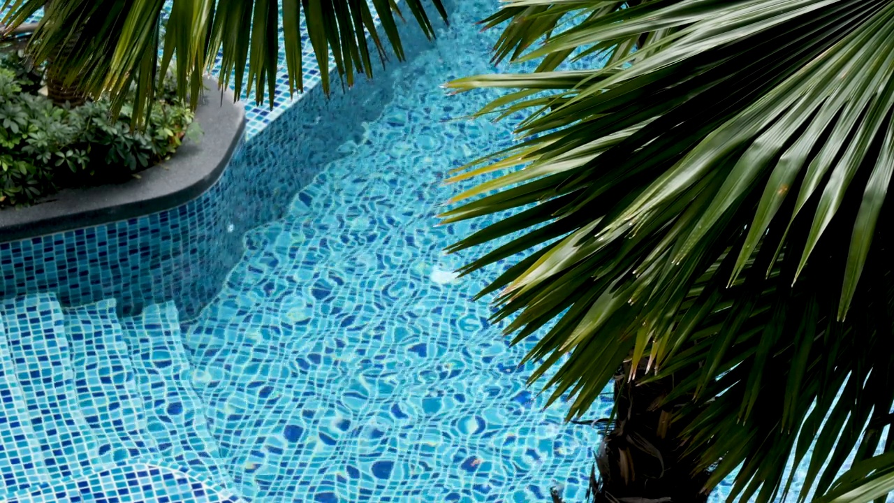 豪华蓝色水晶透明游泳池度假村和棕榈树。在一个奇异的自然环境中，被树木包围的水的高角度特写。完美的假期，度假和旅游营销。明亮，温暖，有趣和放松的感觉视频素材