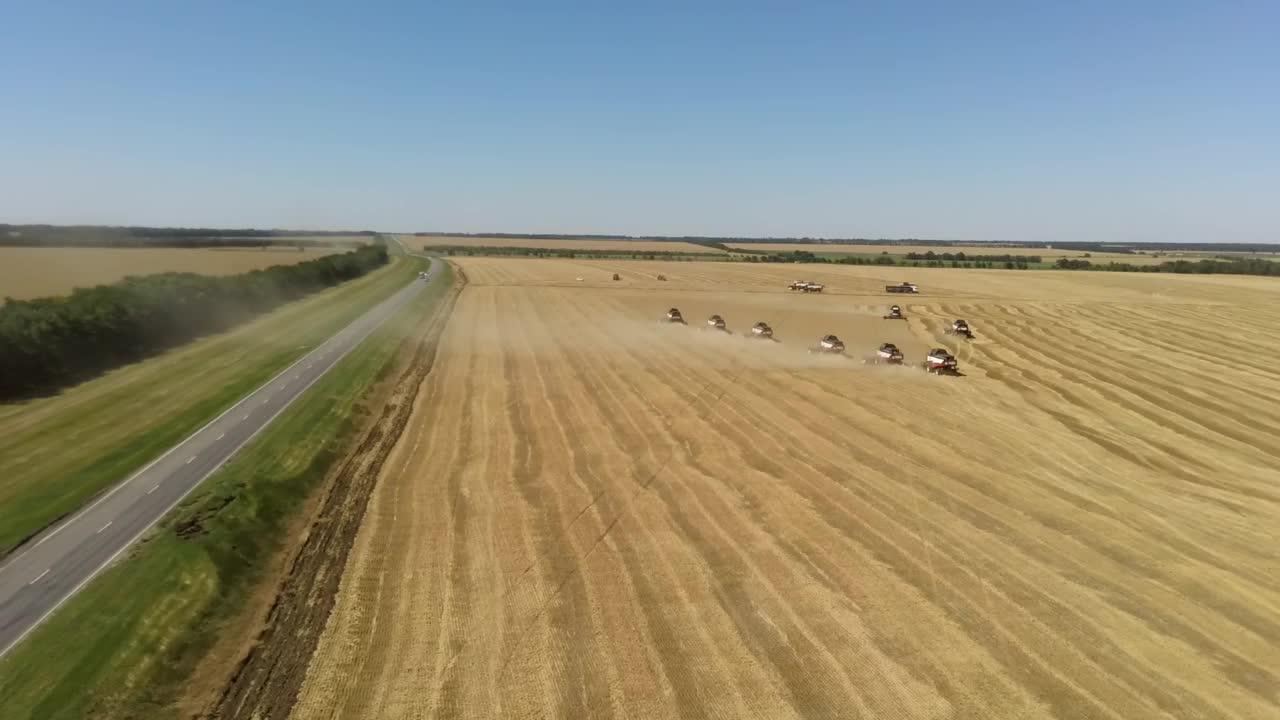 无人机拍摄飞行在麦田里工作的联合收割机视频素材