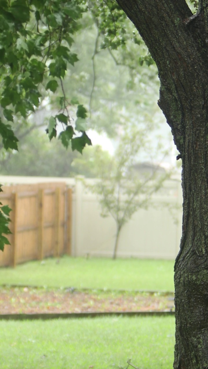 温和的飓风雨和风在郊区的院子里视频素材