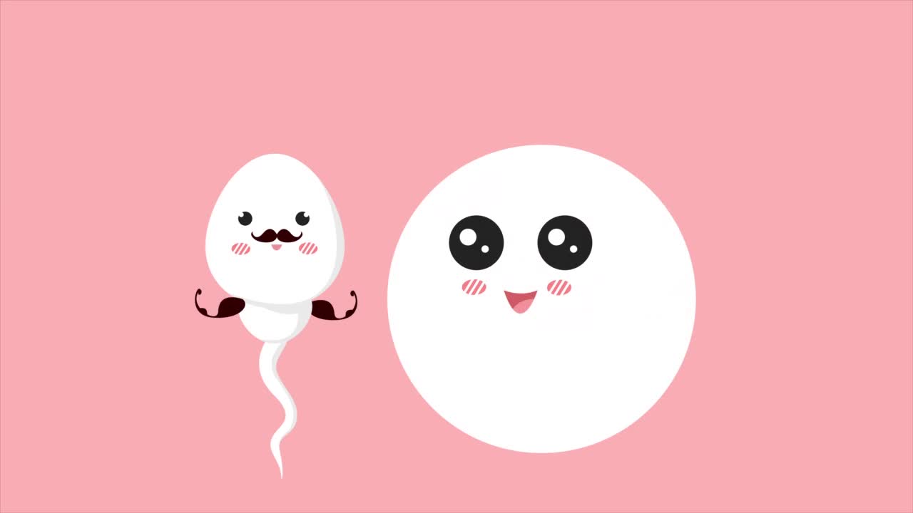 可爱的精子和卵子角色。健康的精子的概念视频素材