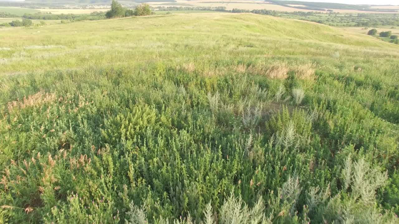 夏天，美丽的田野和绿色的山丘视频素材